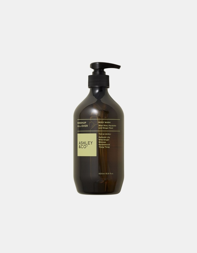 Ashley & Co - Washup All Over 500ml