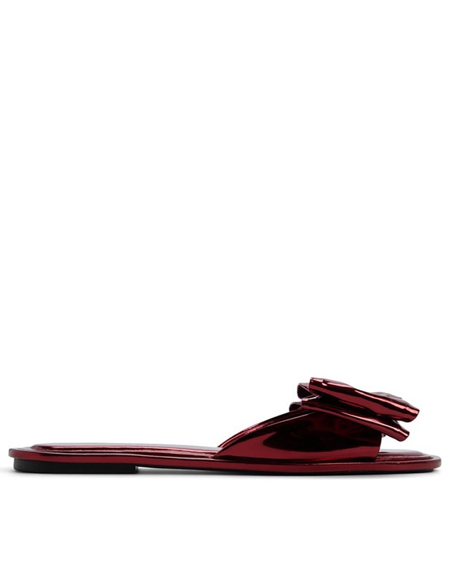 ALDO - Bowetta Ballerina & Flats