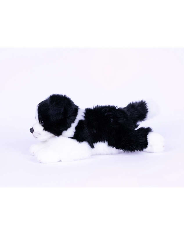 Animal Allsorts - Jasper Border Collie