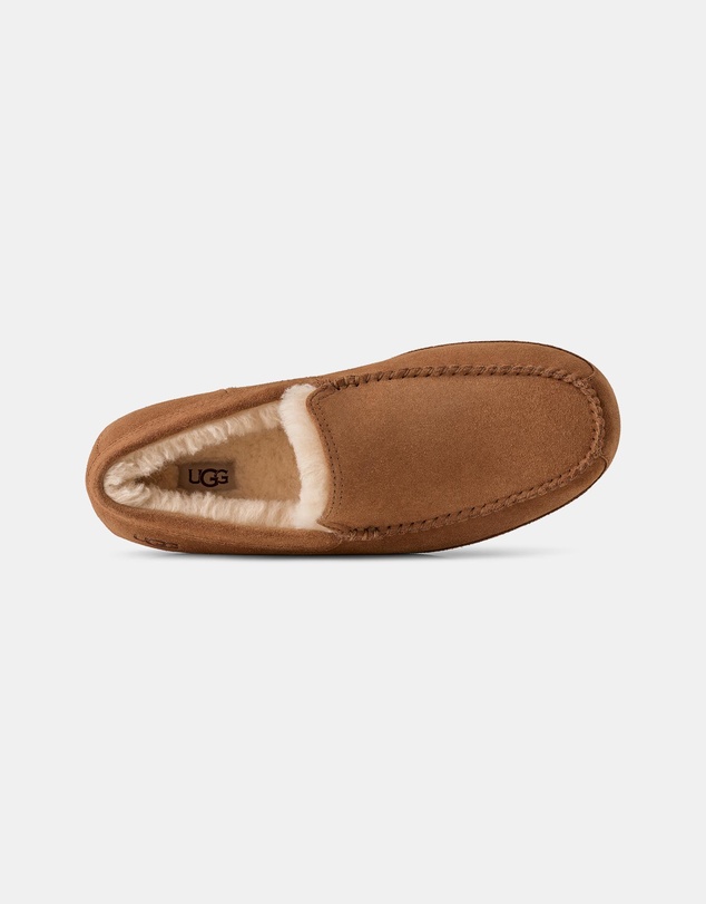 UGG - Linscot Shoes - Men's