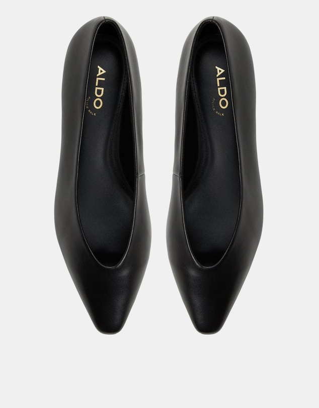 ALDO - Zolita Ballerina Flats