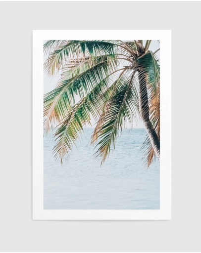 Olive et Oriel - Maldivian Palm II Art Print