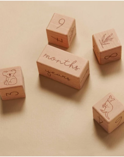 Purebaby - Milestone Blocks - Babies
