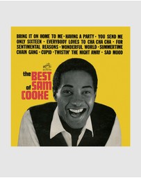 Sony Music - Sam Cooke The Best Of Sam Cooke Vinyl Album