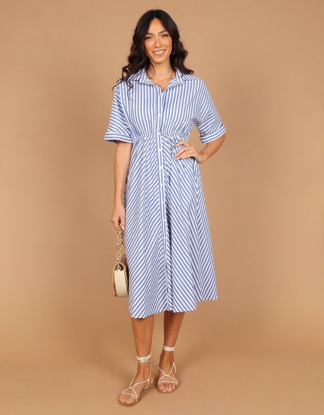 Petal & Pup - Finn Collared Midi Dress - Blue Stripe