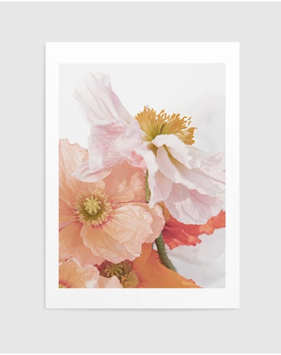 Olive et Oriel - Luxe Poppy III Art Print