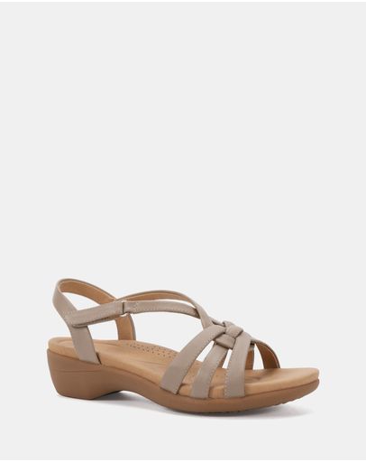 Taupe