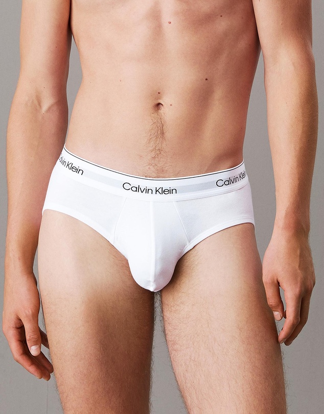 Calvin Klein - Icon Cotton Stretch 3 Pack Briefs