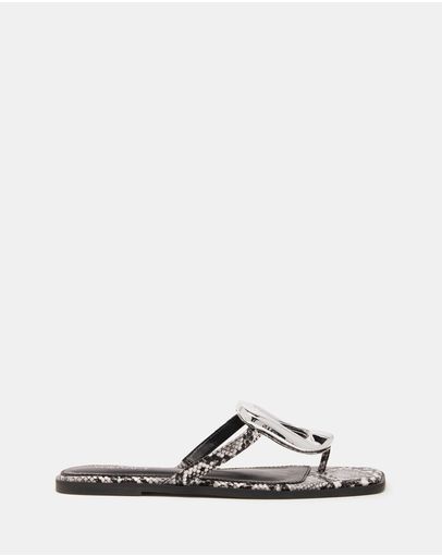 Black & White Snake