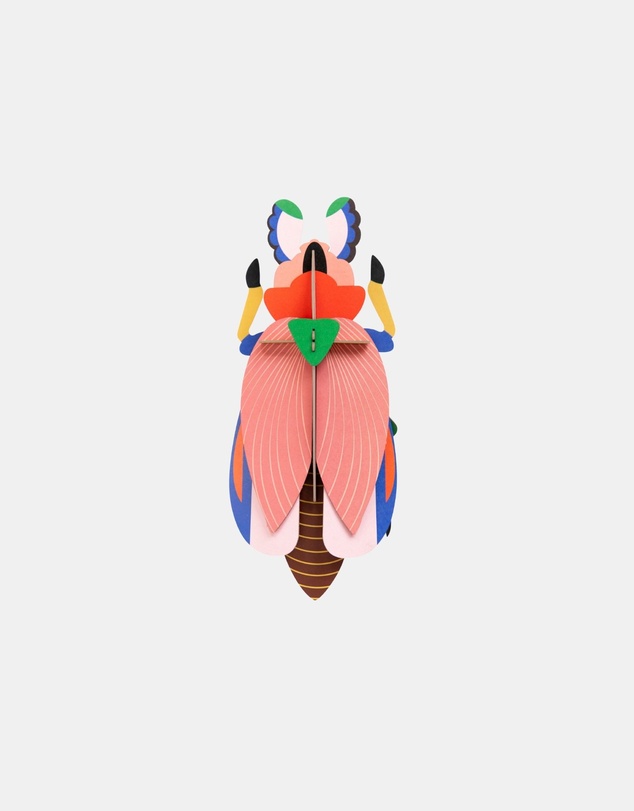 Studio Roof  - Wall Art Beetles A4