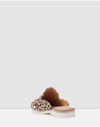 Rollie - Derby Mule