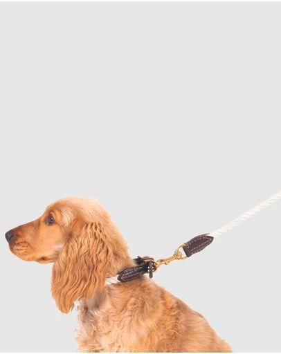 Mog & Bone - Classic Rope Dog Lead (1.2m) - Natural