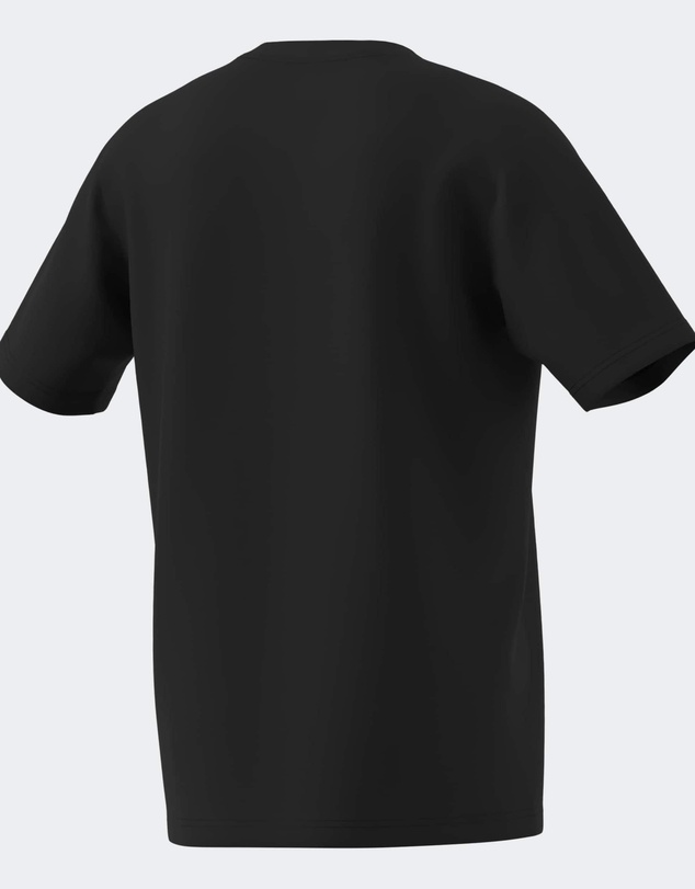adidas Sportswear - AOTEAROA GRAPHIC TEE Mens