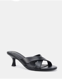 Novo - Zona Heels
