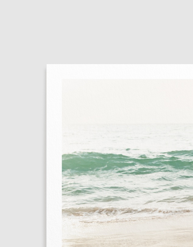 Olive et Oriel - Little Turtle II Art Print