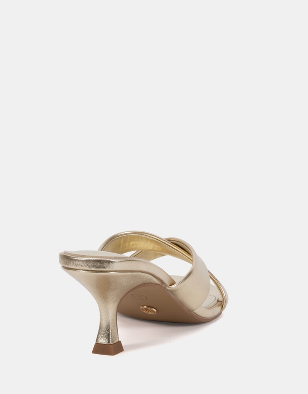 Novo - Zona Heels