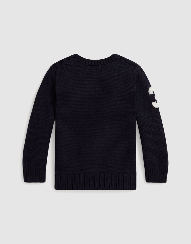 Polo Ralph Lauren - Polo Bear Crewneck Sweater - Kids