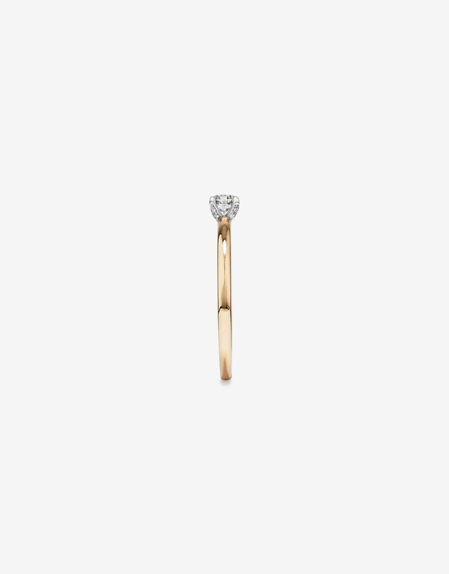 Michael Hill - 0.22 Carat TW Round Brilliant Diamond Solitaire Engagement Ring with Hidden Halo in 14kt Yellow and White Gold