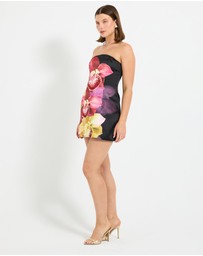 Pasduchas - Nova Strapless Mini Dress