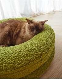 Cat St. - The Bungalow Bed
