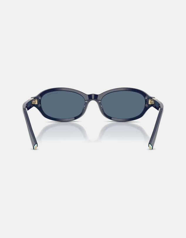 Tiffany & Co. - 0TF4270U