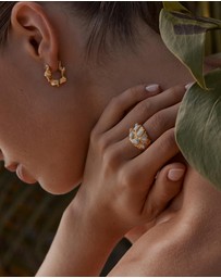 Amber Sceats - Cedar Ring