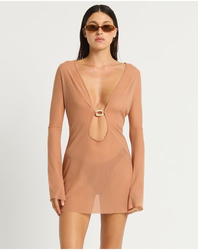 Fawn
