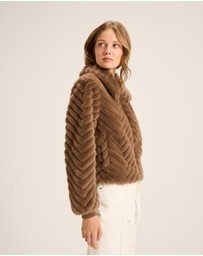 Review - Susannah Jacket