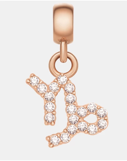 Daniel Wellington - Charm Zodiac Sign Capricorn
