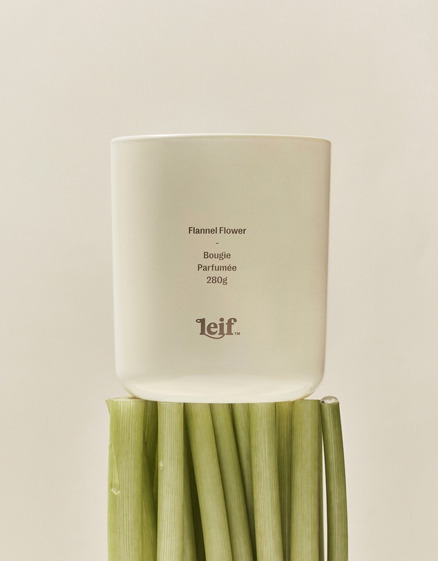 Leif Products - Flannel Flower Candle 280g