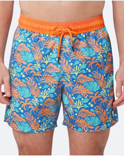 Blue & Orange