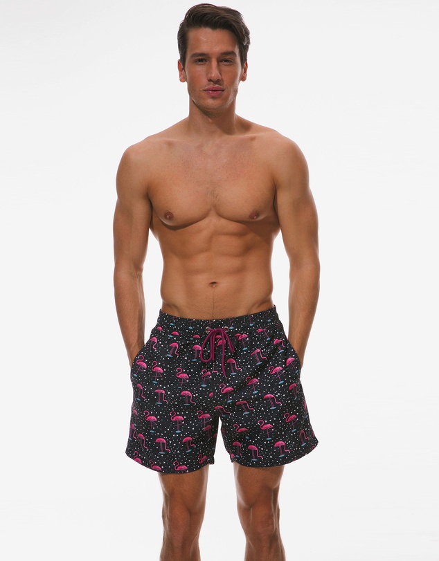 Vacancy Co - Flamingo Nights Swim Short