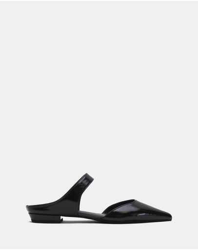 Shiny Black