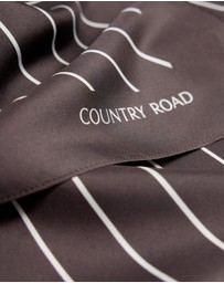 Country Road - Silk Stripe Scarf