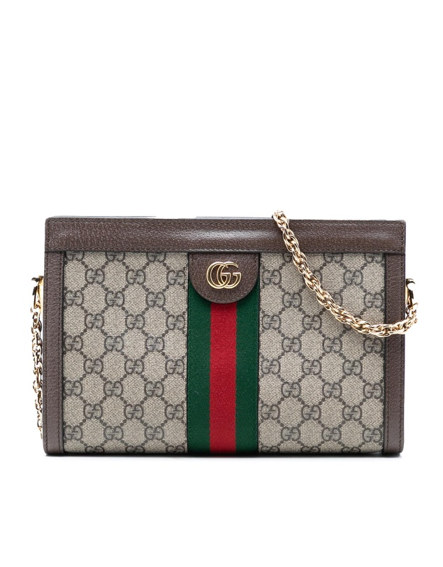 Pre-Loved by Azura Reborn - Pre-Loved Small GG Supreme Web Ophidia Chain Crossbody