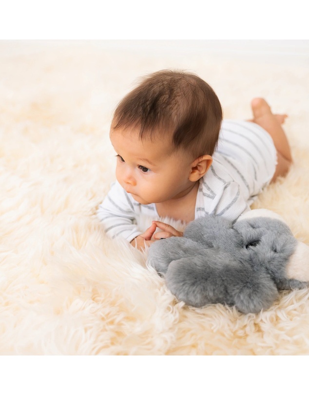 FLATOUTbear - Baby Koala