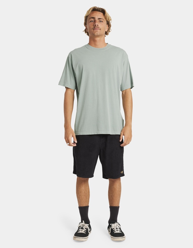 Billabong - Mens Premium Wave Wash T-Shirt