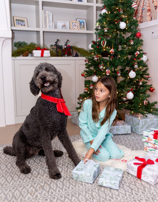 Sant And Abel - Kids Hepburn Gingham Mint Long PJ Set