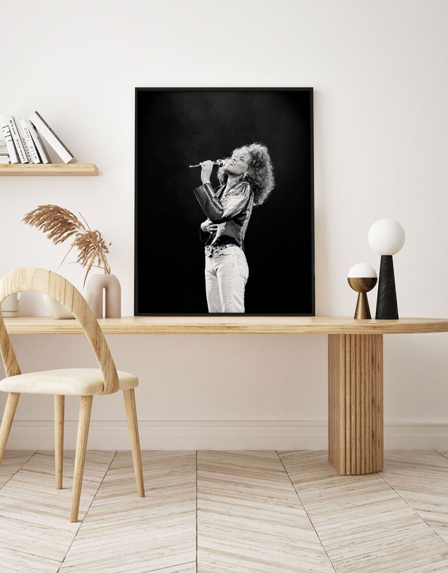 Olive et Oriel - Whitney Houston Art Print