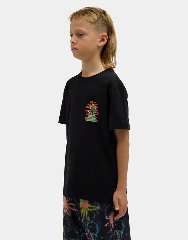 Volcom - Boys 8 to 16 Altarium T-Shirt