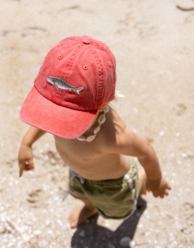 Pallion Point - Kids Tiger Shark Fish Lid