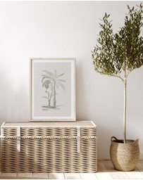 Olive et Oriel - Vintage Palm I Art Print