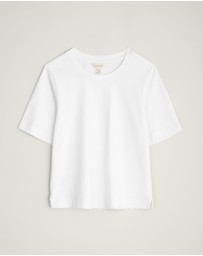 Seasalt - Seasalt Cornwall White Copseland T-Shirt