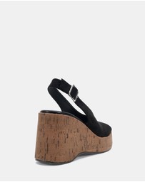Novo - Belief Wedges