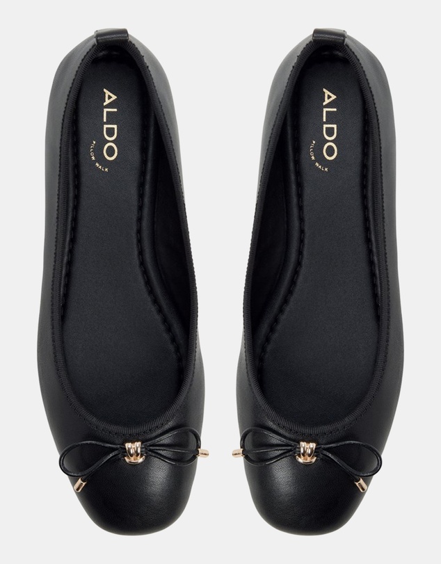 ALDO - Taylynn Ballerina Flats