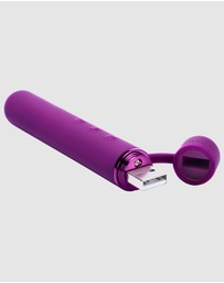 Le Wand - Le Wand Chrome Baton
