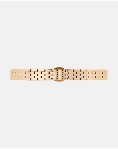 Daniel Wellington - 10mm Strap 5-Link RG