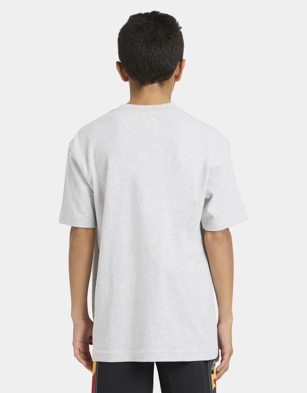 Billabong - Boys 8 to 16 Otis Estua T-Shirt
