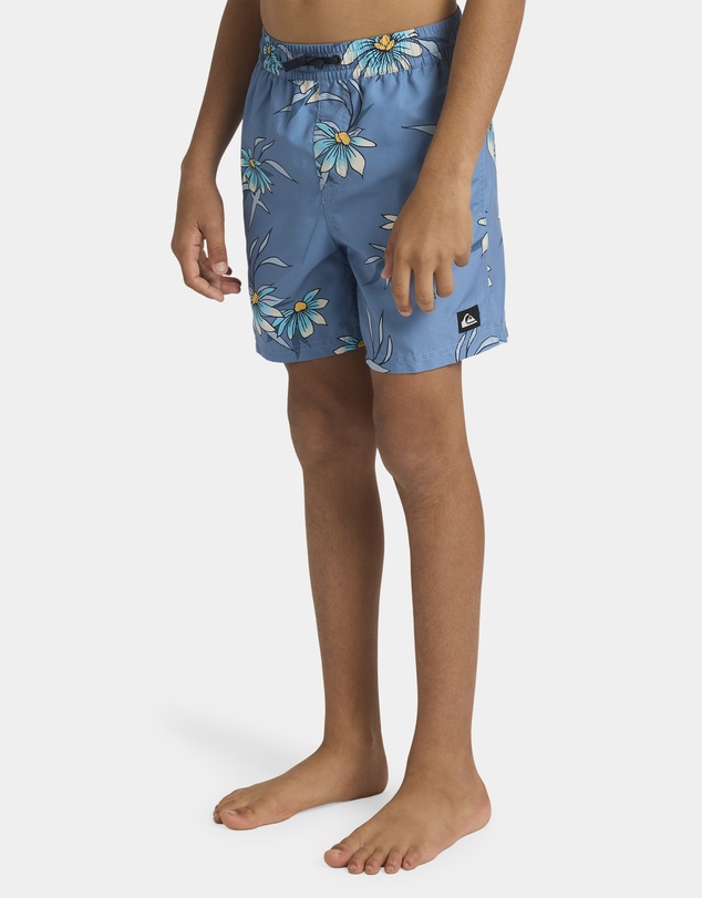 Quiksilver - Boys 8 to 16 Everyday 14