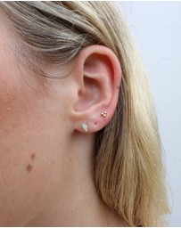 Luna Rae - Solid Gold - Venus Studs